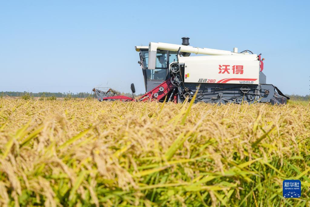 微信24小时上下分电玩
